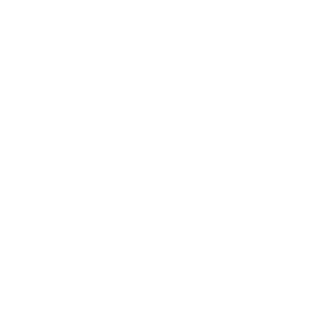 Vitamix